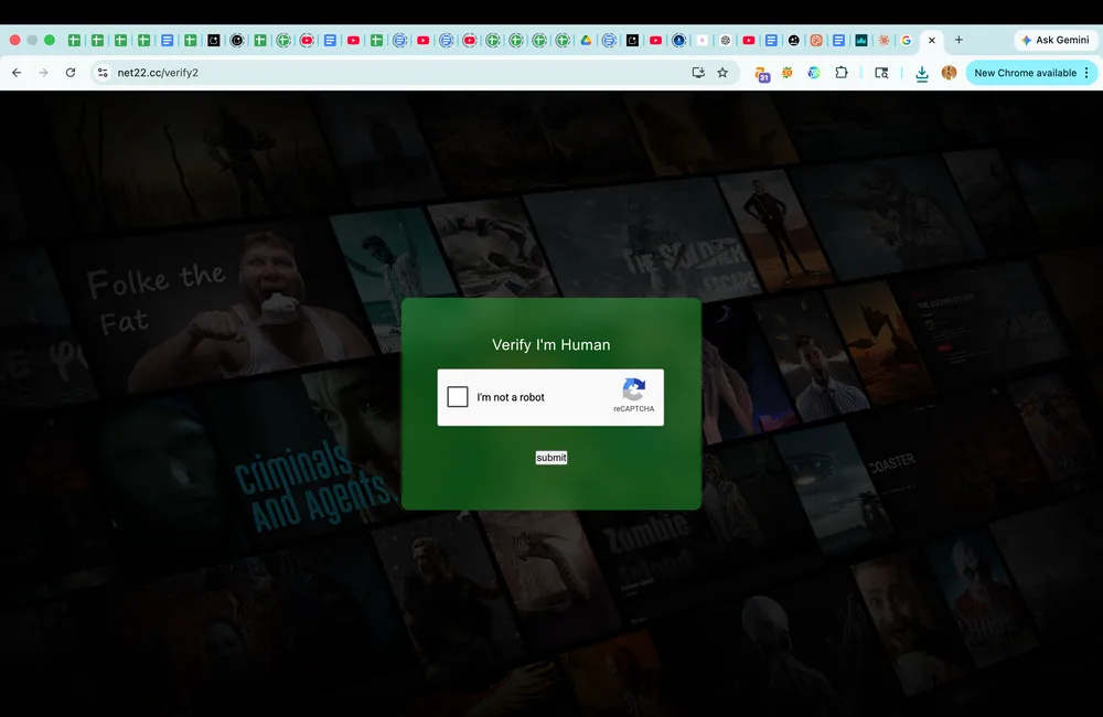NetMirror CAPTCHA verification screen on PC browser with Cloudflare reCAPTCHA