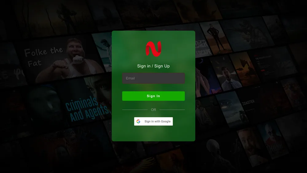 NetMirror sign in / sign up screen with email field and Google sign-in option
